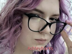 Ashleybarks