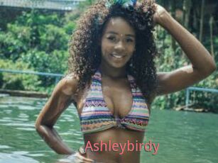 Ashleybirdy