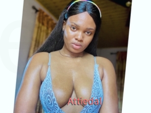 Attiedal