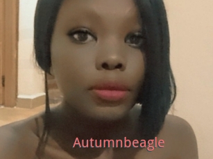 Autumnbeagle