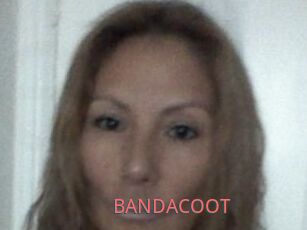 BANDACOOT