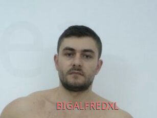 BIGALFREDXL