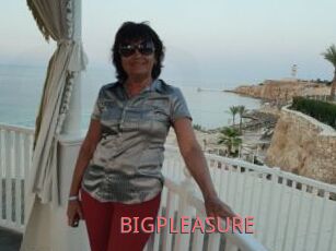 BIGPLEASURE