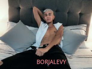 BORJALEVY