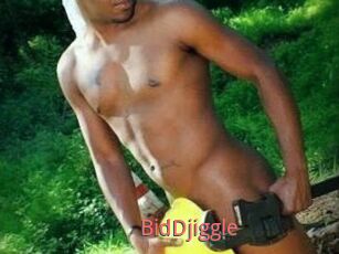 BidDjiggle