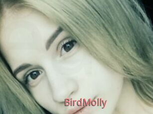 BirdMolly