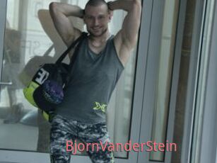 BjornVanderStein