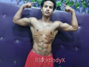BlackBodyX
