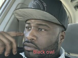 Black_owl