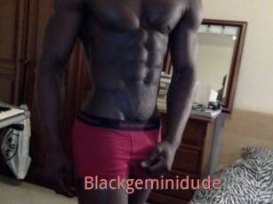 Blackgeminidude