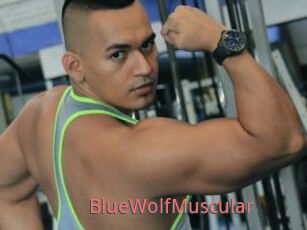 BlueWolfMuscular
