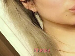 Blue_jay