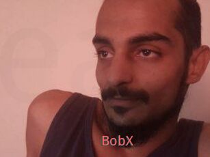 BobX