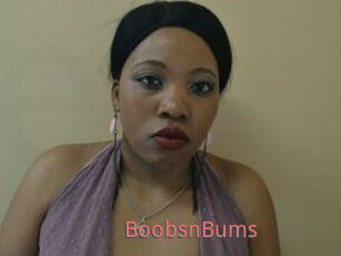 BoobsnBums
