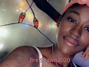 Bre_Shawn2020
