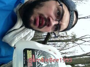 BumbleBee1993