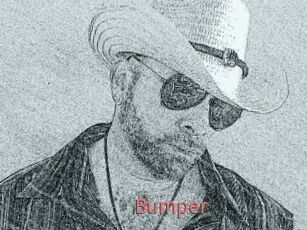 Bumper