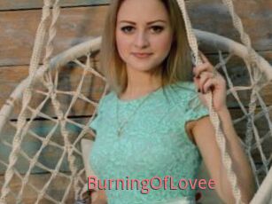 BurningOfLovee