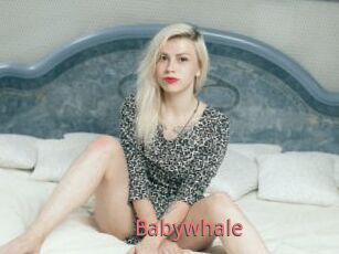 Babywhale
