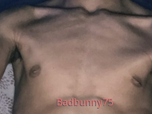 Badbunny75