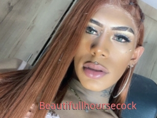 Beautifullhoursecock