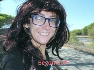 Begonia69