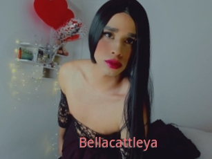 Bellacattleya