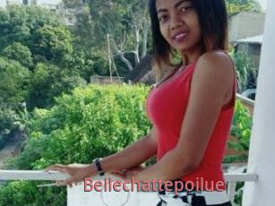 Bellechattepoilue