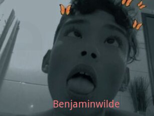 Benjaminwilde