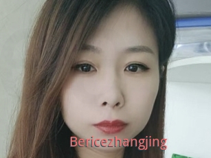 Bericezhangjing