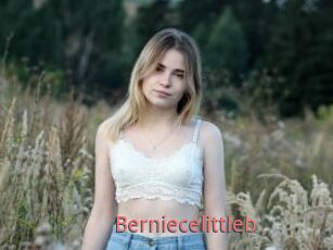 Berniecelittleb