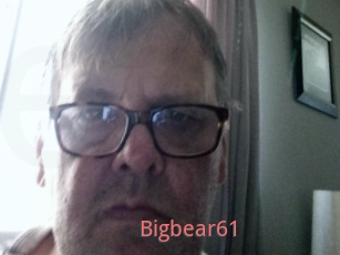 Bigbear61