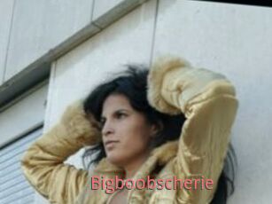 Bigboobscherie