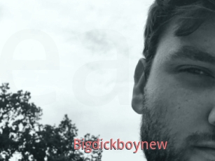 Bigdickboynew