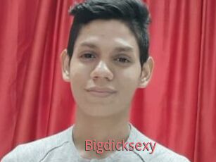 Bigdicksexy
