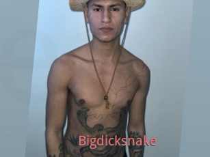Bigdicksnake