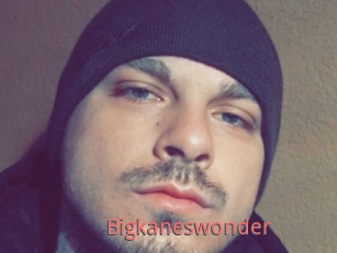 Bigkaneswonder