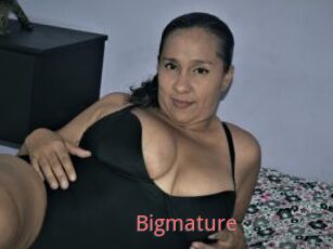 Bigmature