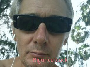 Biguncutcock
