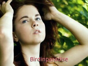Birdinparadise