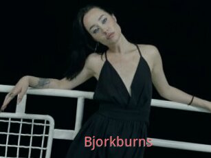 Bjorkburns