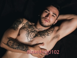 Blakeking0102