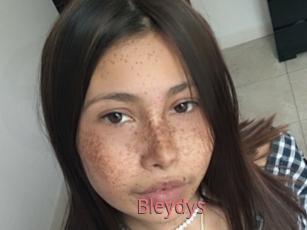 Bleydys