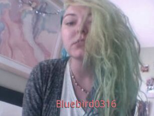 Bluebird0316