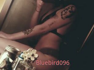 Bluebird096