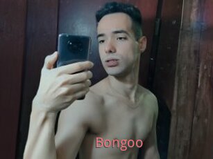 Bongoo