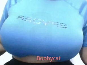 Boobycat