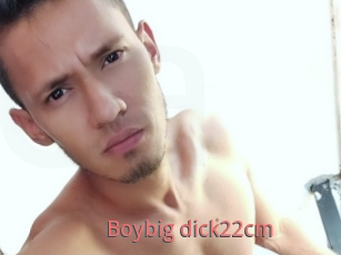 Boybig_dick22cm