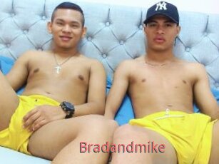 Bradandmike