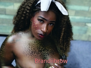 Brandiibrow